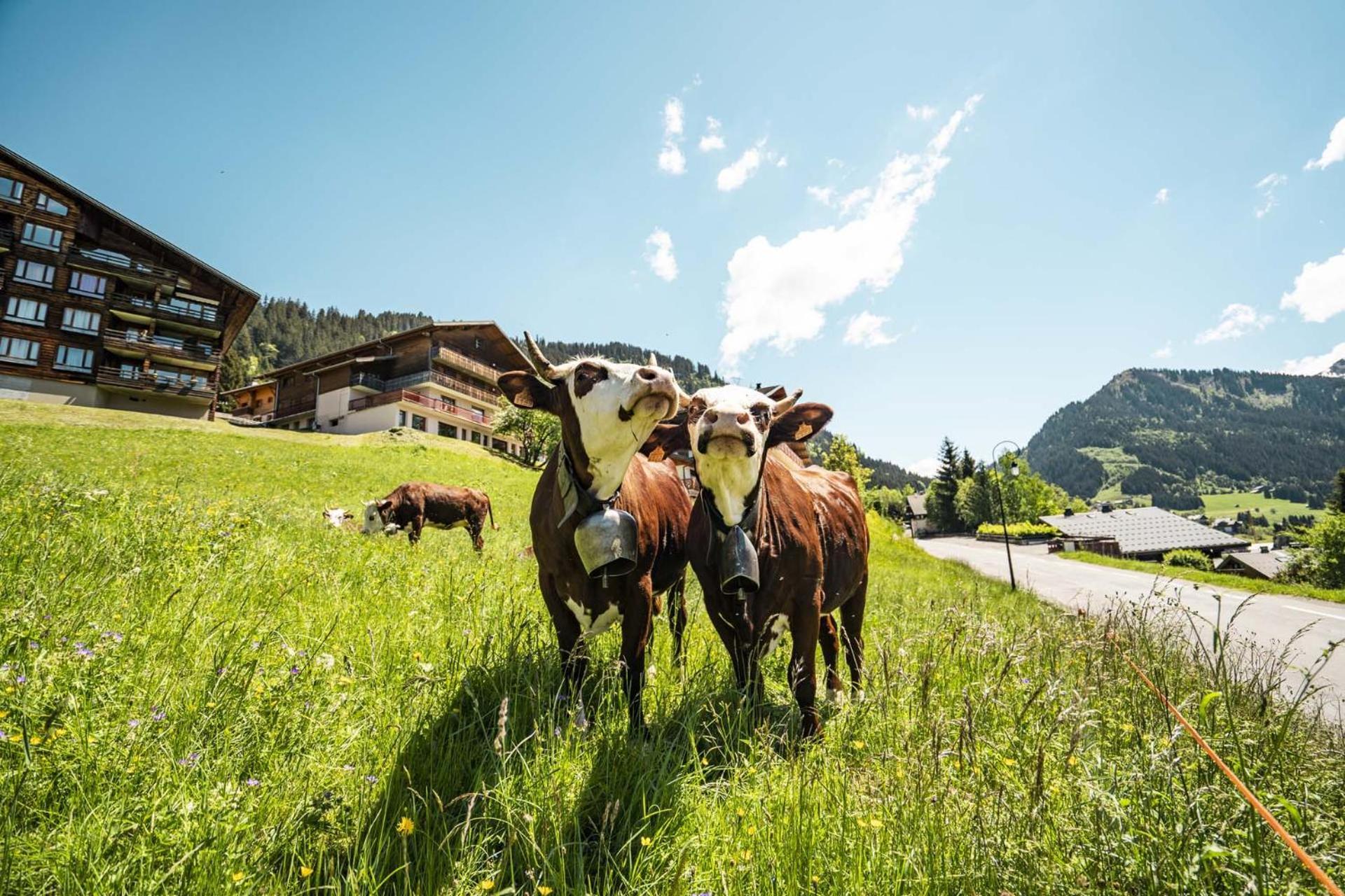 Le Roitelet Hotel Chatel Exterior photo